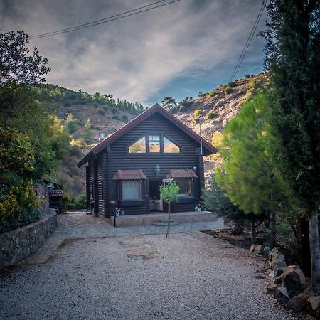 *2 Bdr Log House /Mountains/Queen Bed/Fireplace Gourri Eksteriør bilde